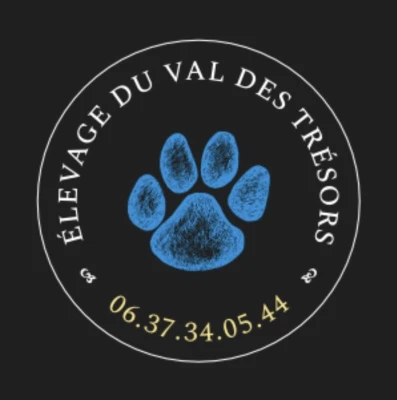 Elevage de Pomsky & Samsky